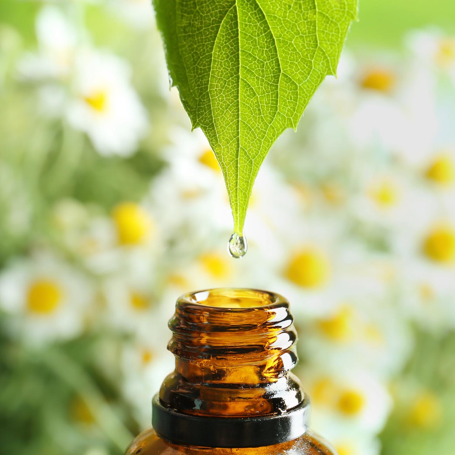 Aromathérapie Pharmacie de Sion